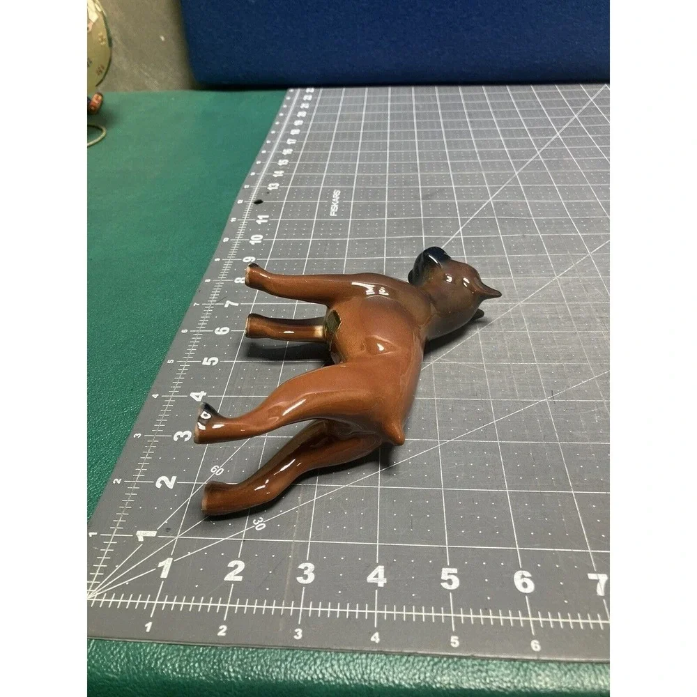 Boxer 